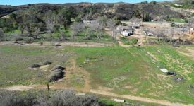 Szajner Ranch