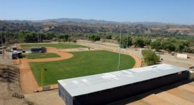 VTV Baseball