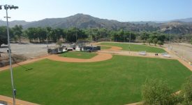 VTV Baseball