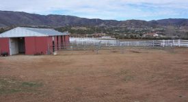 Double Star Ranch