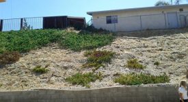 Rust Home