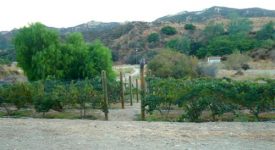 Ranch With Home (80 acres)