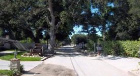 T R Ranch