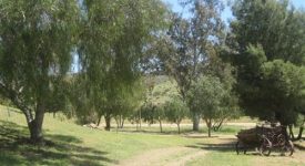 6 Guns Film Location