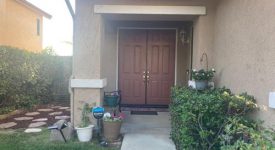 Palm Tree entrance