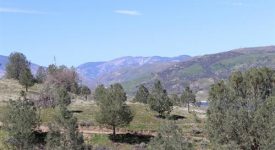 Ridge Route Ranch