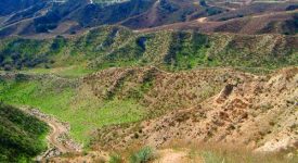 Ranch With Home (80 acres)