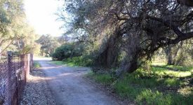 Acres in Sand Canyon
