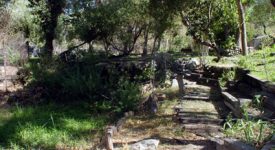Shambala Preserve