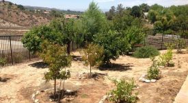 Circle J Ranch