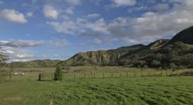 Mountain View Property