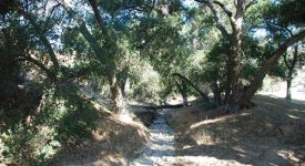 Quigley Canyon