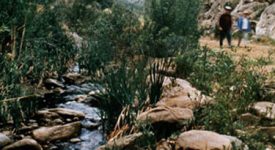 Towsley Canyon