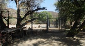 Shambala Preserve