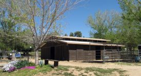 Sycamore Hill Farm