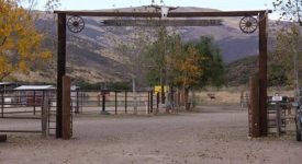 Carousel Ranch