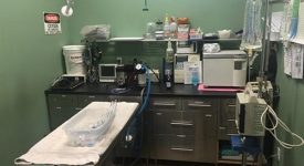 Happy Pets Veterinary Center