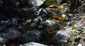 Whitney Canyon