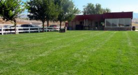 Agua Dulce Airpark