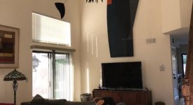 Suburban Surprise