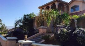 Cactus Flower Ranch