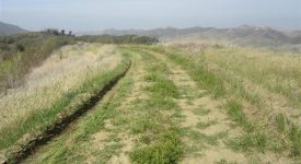 East Walker Ranch