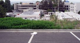 College of the Canyons