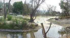 Shambala Preserve