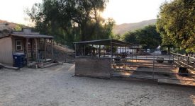 Smoke Tree Ranch