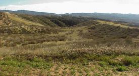 Bermite Property
