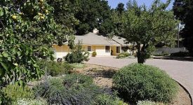 Placerita Canyon Gem