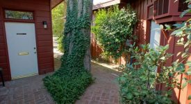 Charming Courtyard