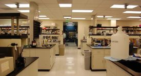 SCVL – MNKD Labs