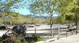 Sweetwater Springs