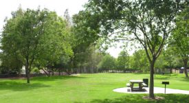 Bouquet Canyon Park