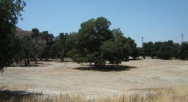 Placerita Canyon Rd – Vacant land off Freeway