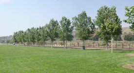Creekview Park