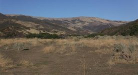 Carousel Ranch