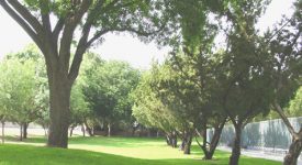 Santa Clarita Park