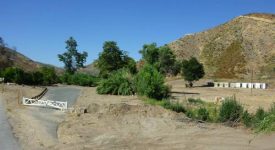 Bouquet Ranch