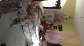 A1 Agua Dulce Mansion