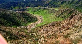 Ranch With Home (80 acres)