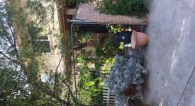 Kalb Ct Home