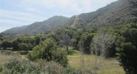 East Walker Ranch