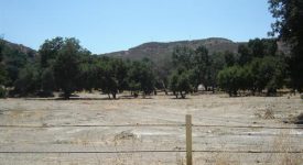 Placerita Canyon Rd – Vacant land off Freeway
