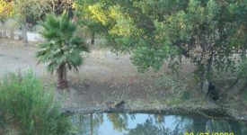Lupita’s Ranch