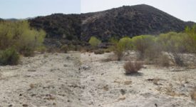 Shambala Preserve