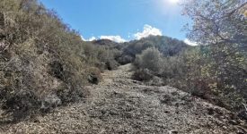 Open Sand Canyon Land