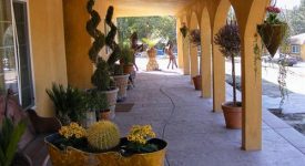 Rancho de Pancho