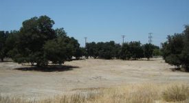 Placerita Canyon Rd – Vacant land off Freeway
